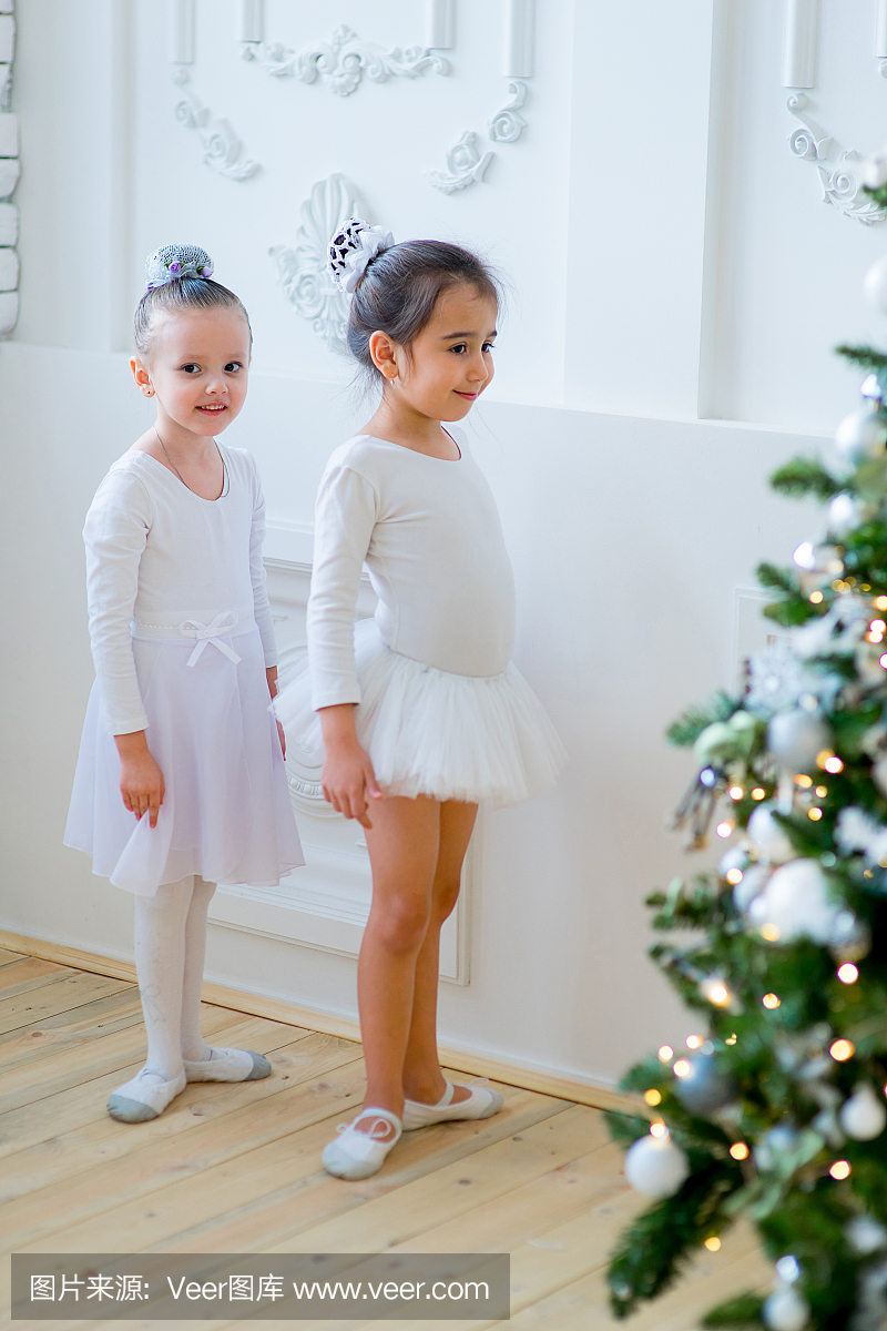 两个年轻的芭蕾舞演员在圣诞树附近学习课程