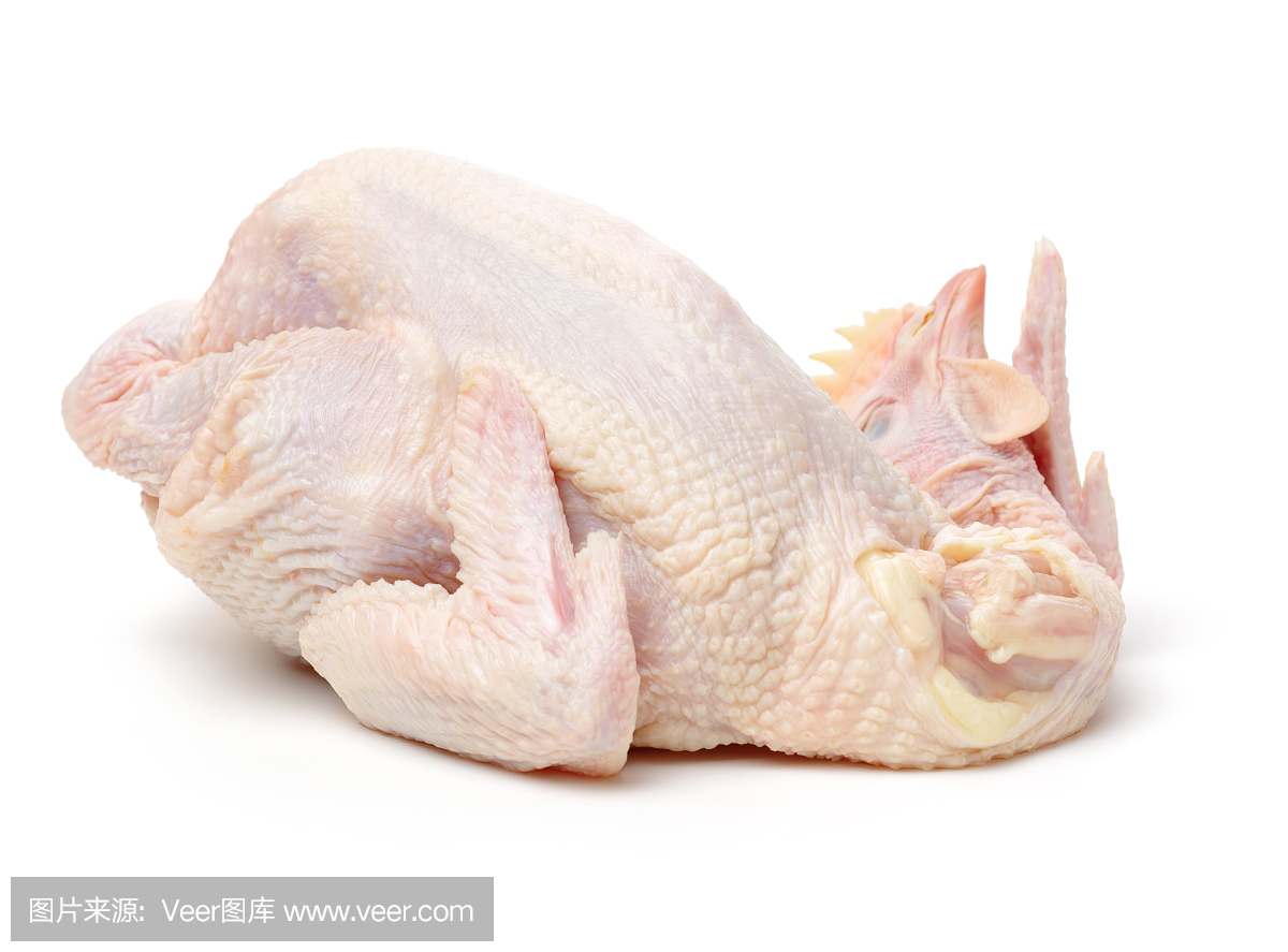 未煮熟的整个鸡在白色背景上
