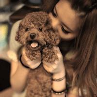 qq头像女生抱泰迪熊