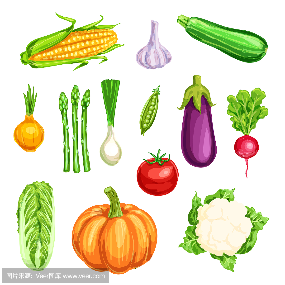 蔬菜水彩图标的有机农场蔬菜