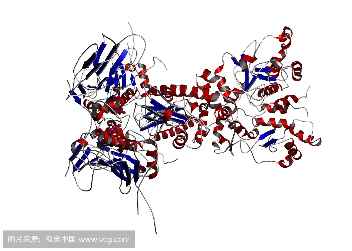 原核生物和真核生物通过诱导热休克蛋白的合成