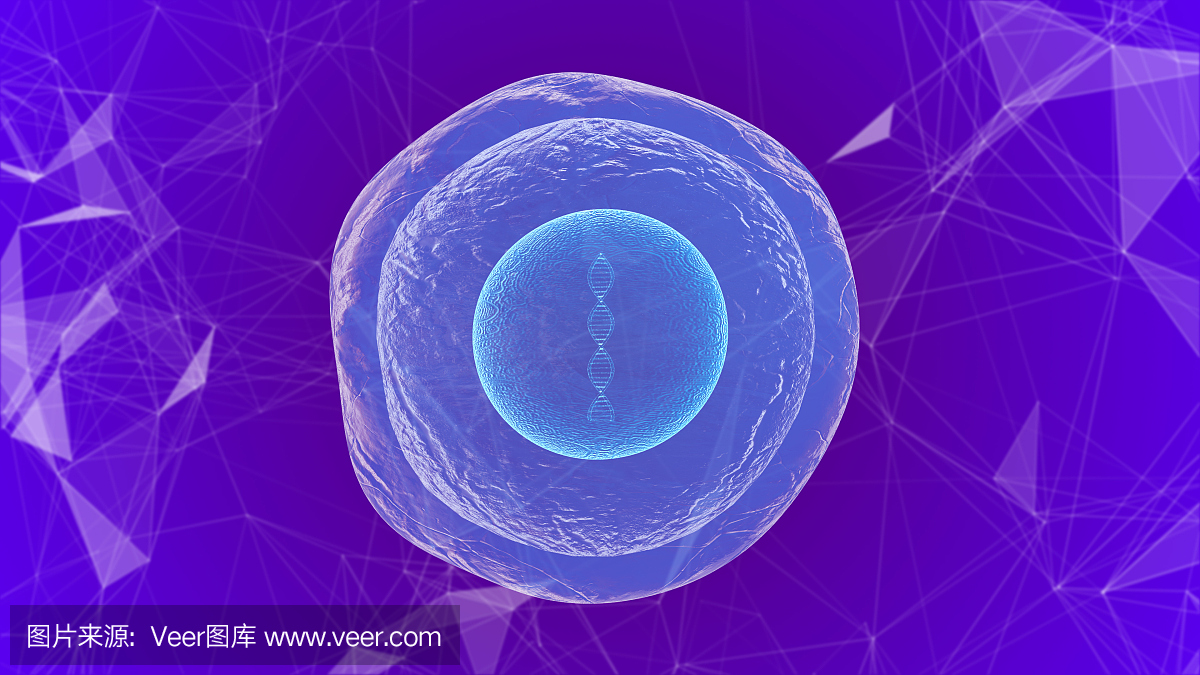 人类胚胎干细胞分子生物化学研究技术