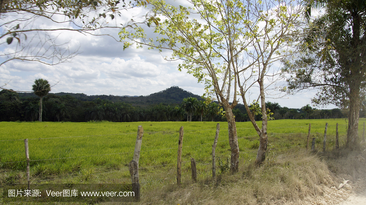 多米尼克山风景
