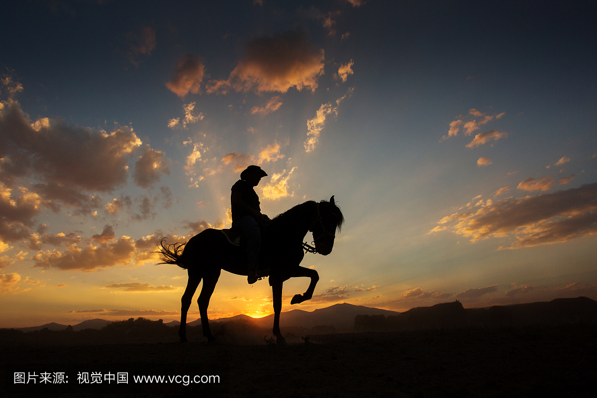剪影的人骑着一匹马在夕阳与美丽的背景