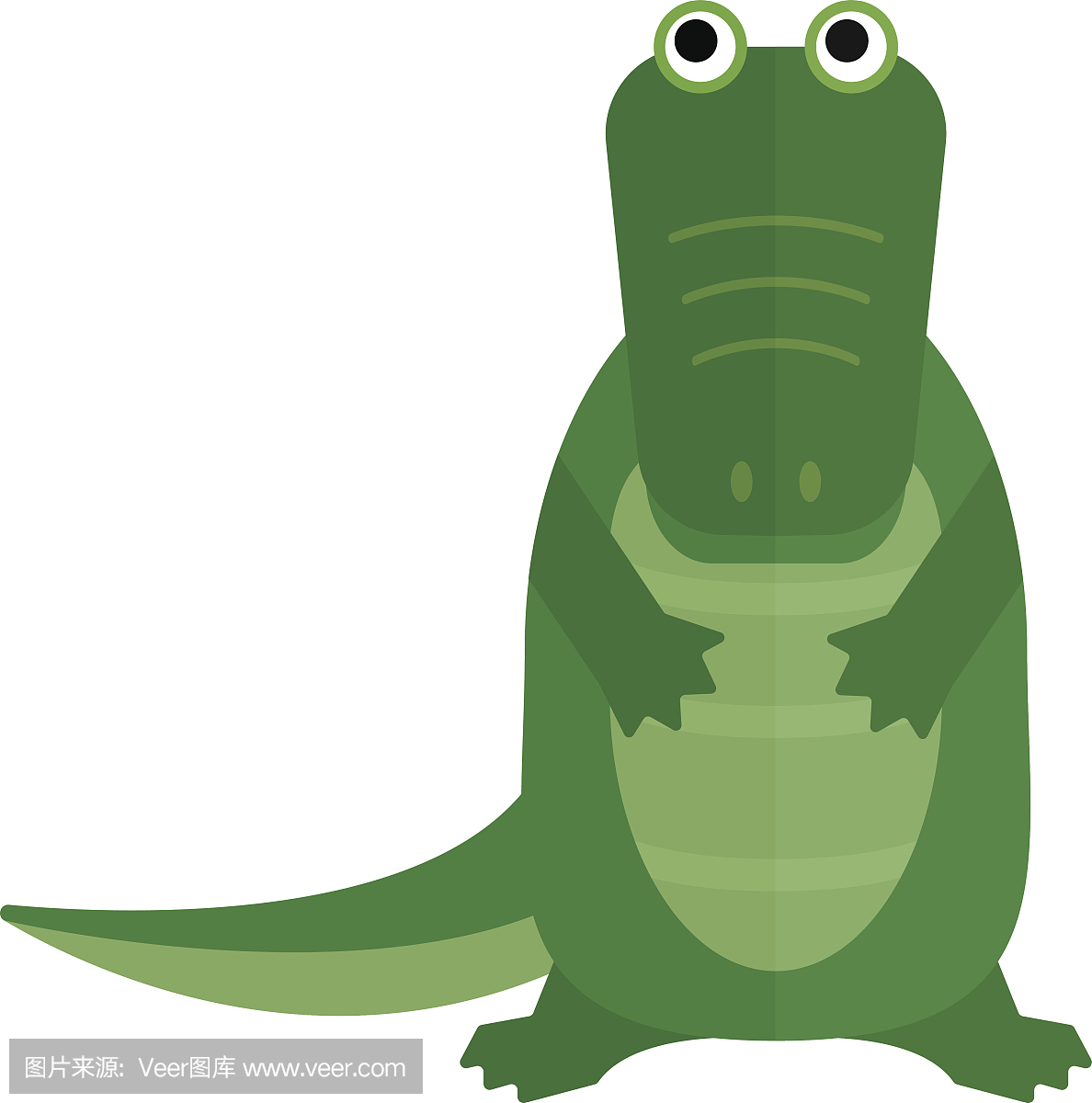 澳大利亚咸水绿色鳄鱼卡通平矢量图