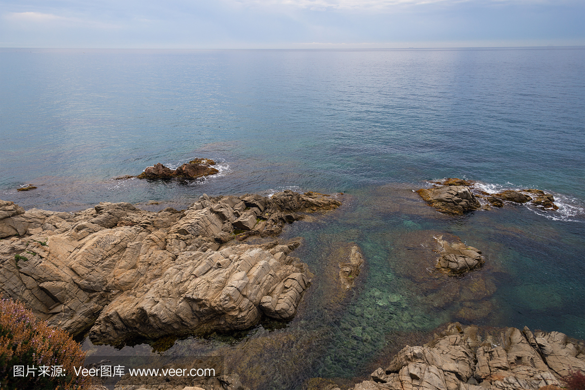 摇摆,晃悠,摇晃,晃悠的