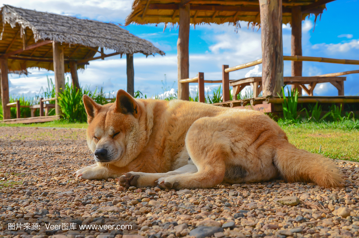 自然,度假胜地,气候,水平画幅