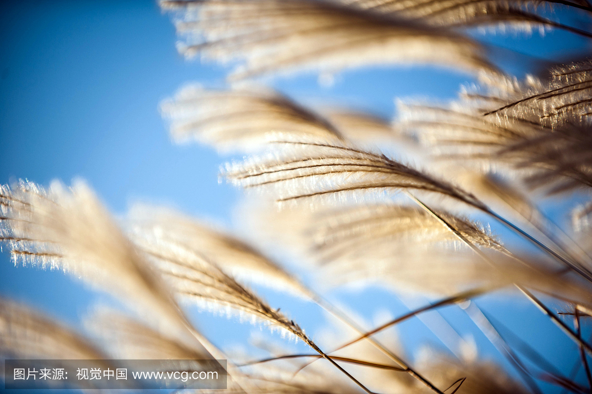 中国网球公开赛钻石网球场全景观众爆满