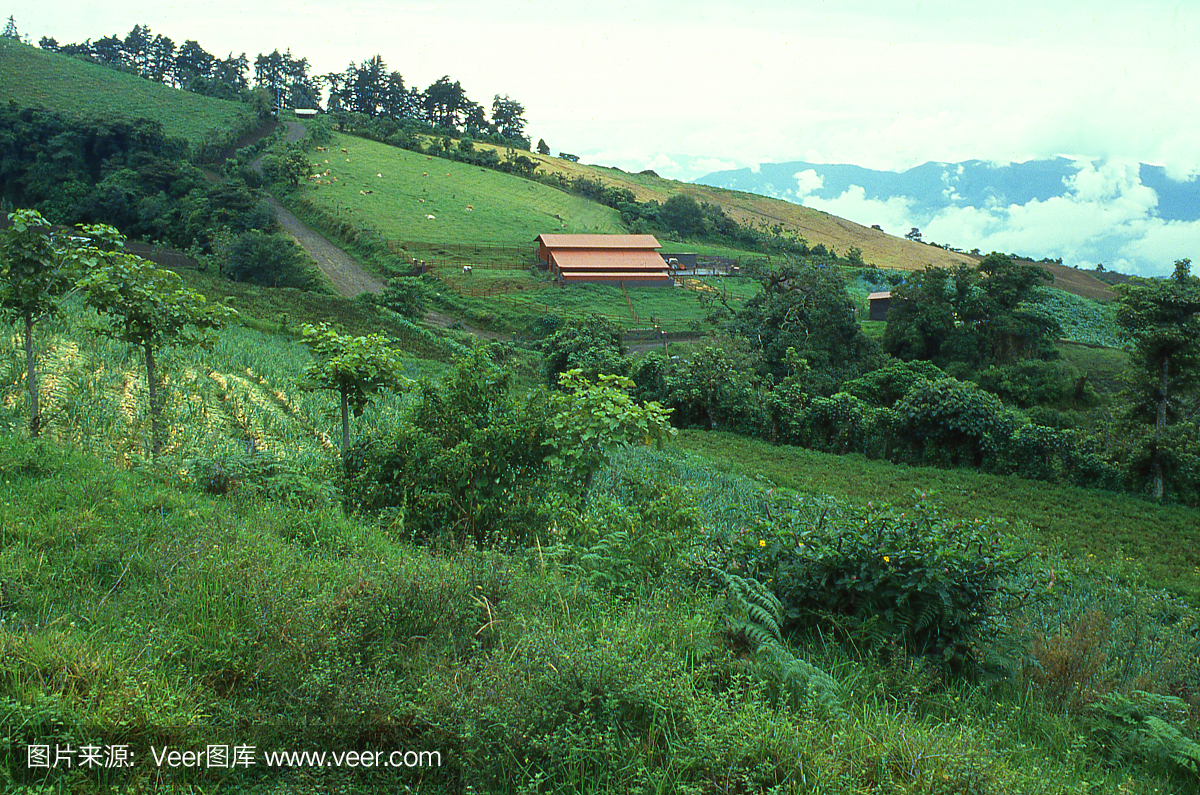 靠近圣何塞哥斯达黎加中美洲的波亚斯国家公园