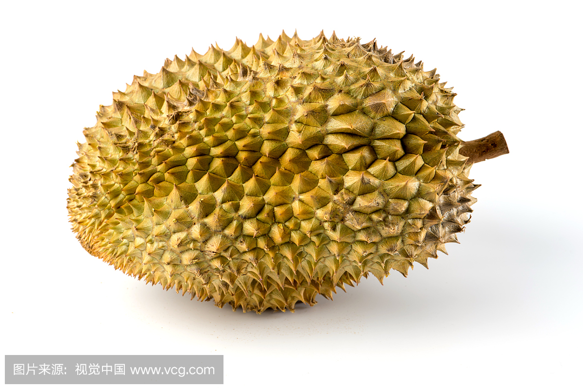 榴莲,榴连,留莲,榴莲果