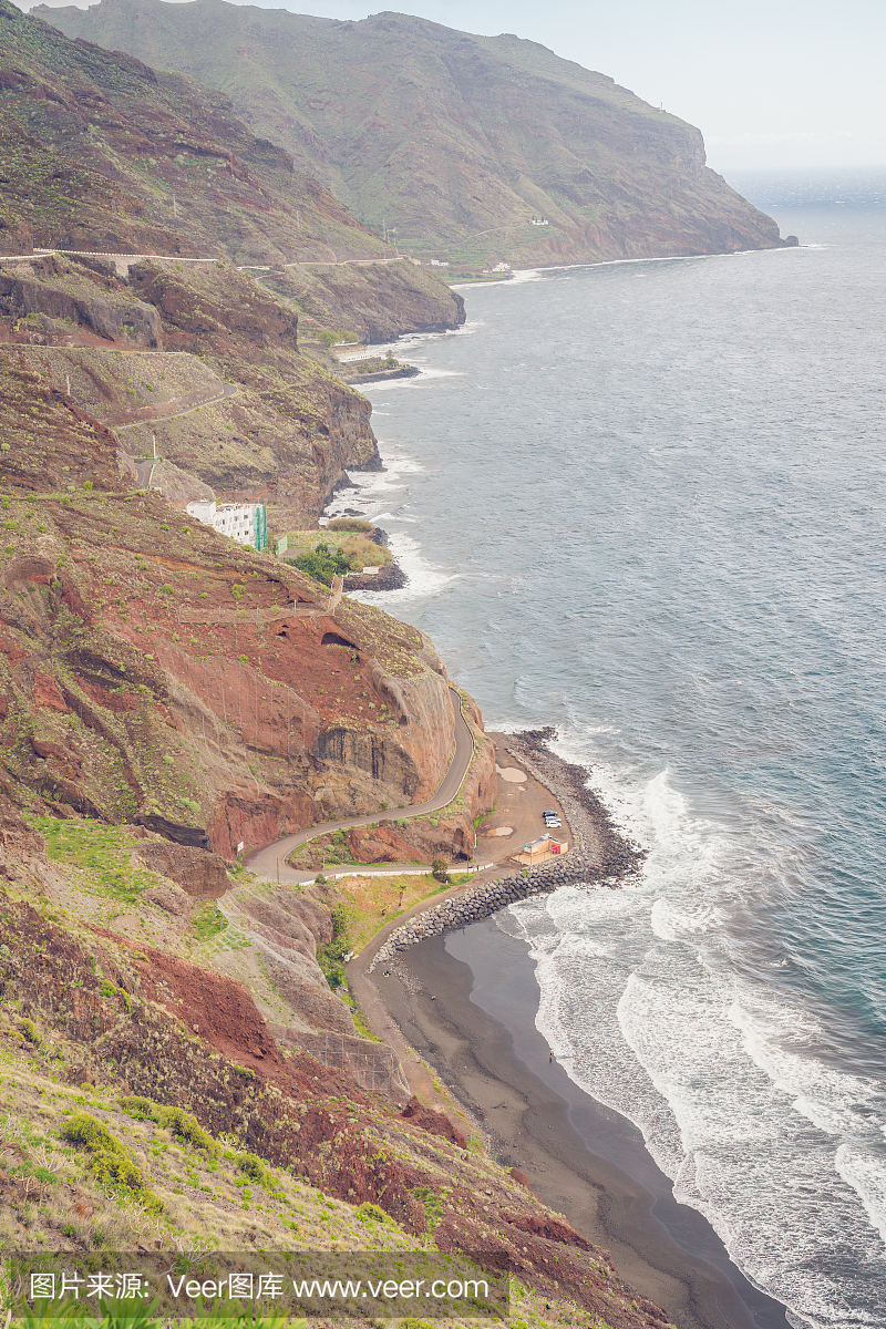 热带气候,西班牙文化,大西洋,北美歌雀