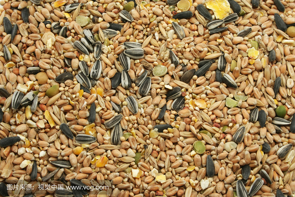 坚果,堆,草红花,户外