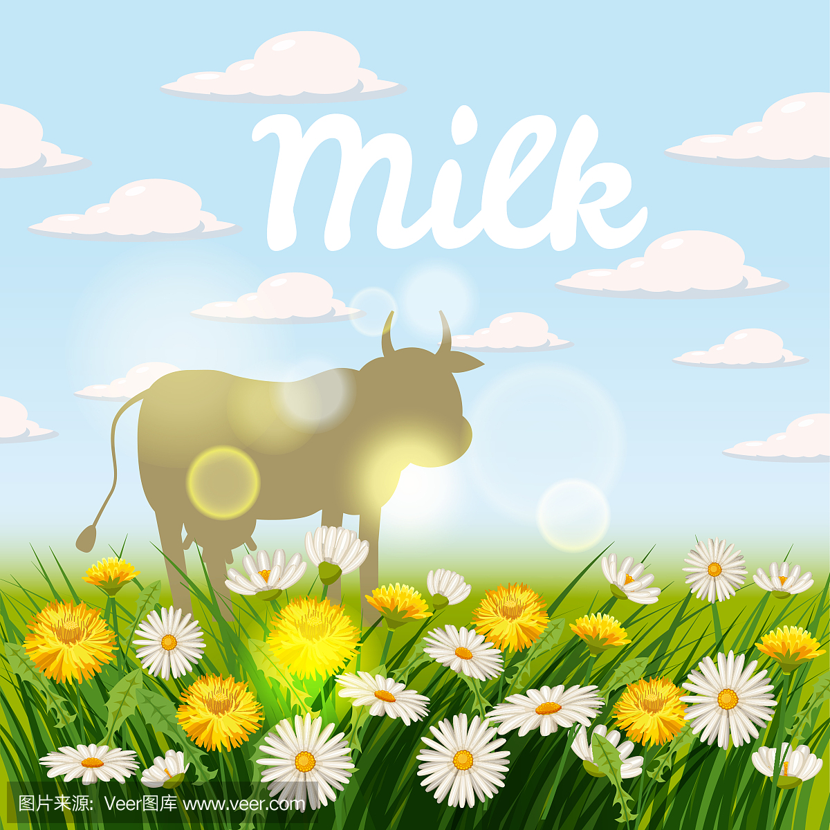 家牛,家养牛,母牛,大型母兽