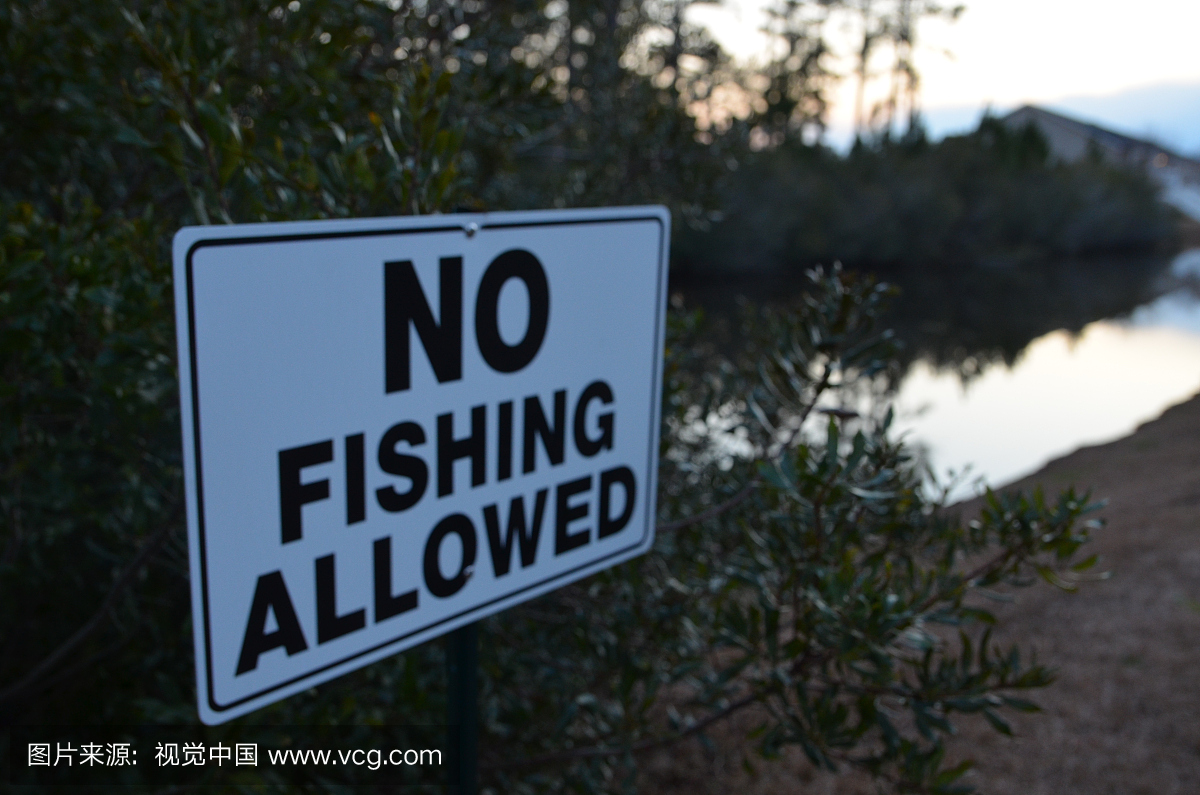 No Fishing Sign Near Lakeside