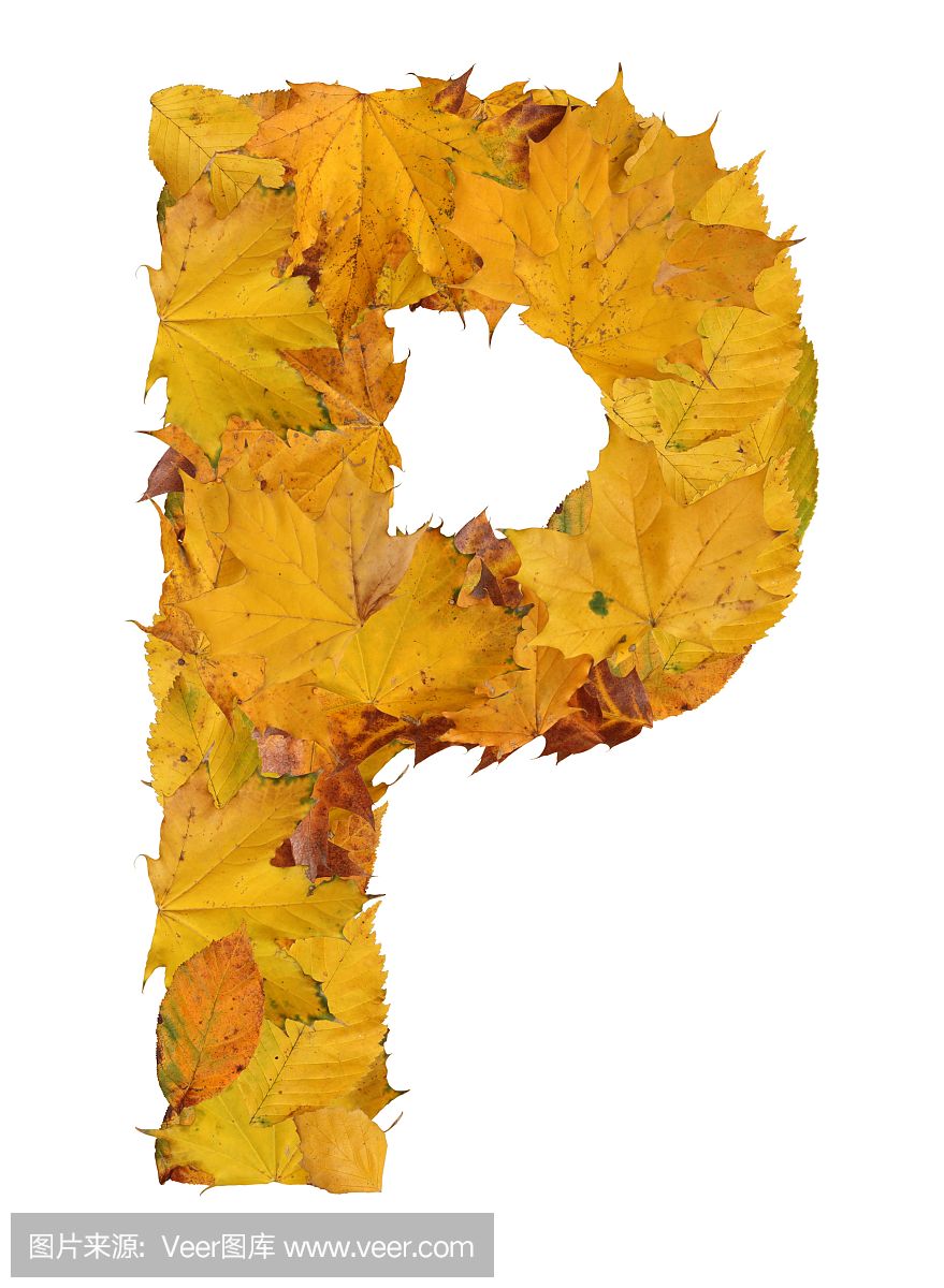 收集,文字,英文字母P,符号