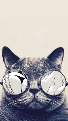 戴眼镜的小猫图片