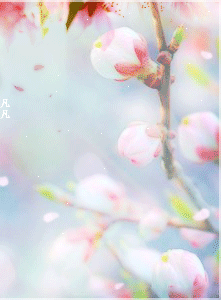 背景 壁纸 花 桌面 221_300 gif 动态图 动图