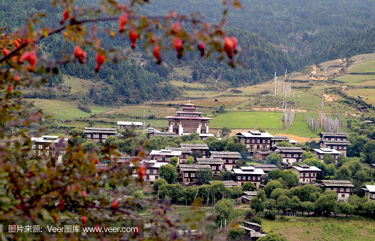布姆塘,布塘,本塘,摄影