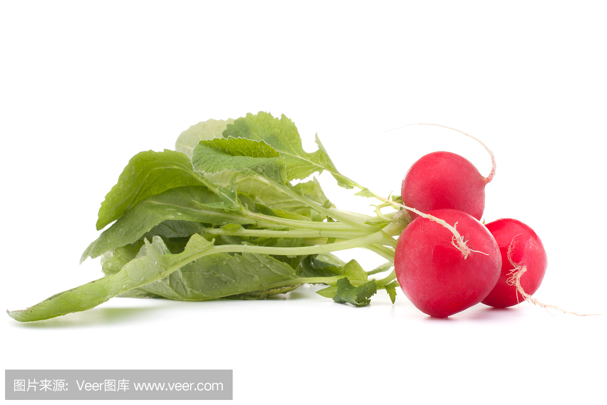 小花园萝卜与叶子