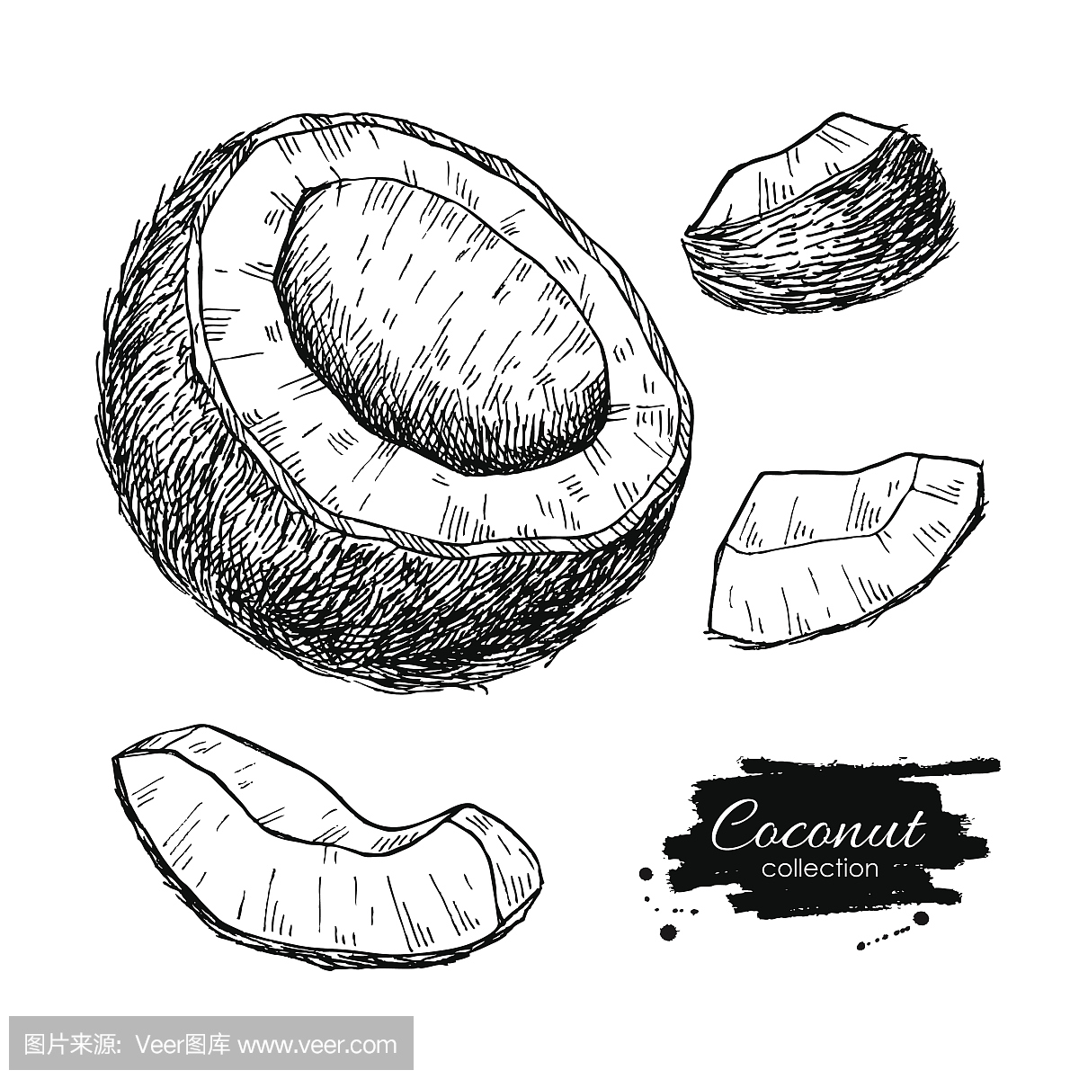 椰汁,耶汁,揶汁,插图绘画家装设计北欧图片