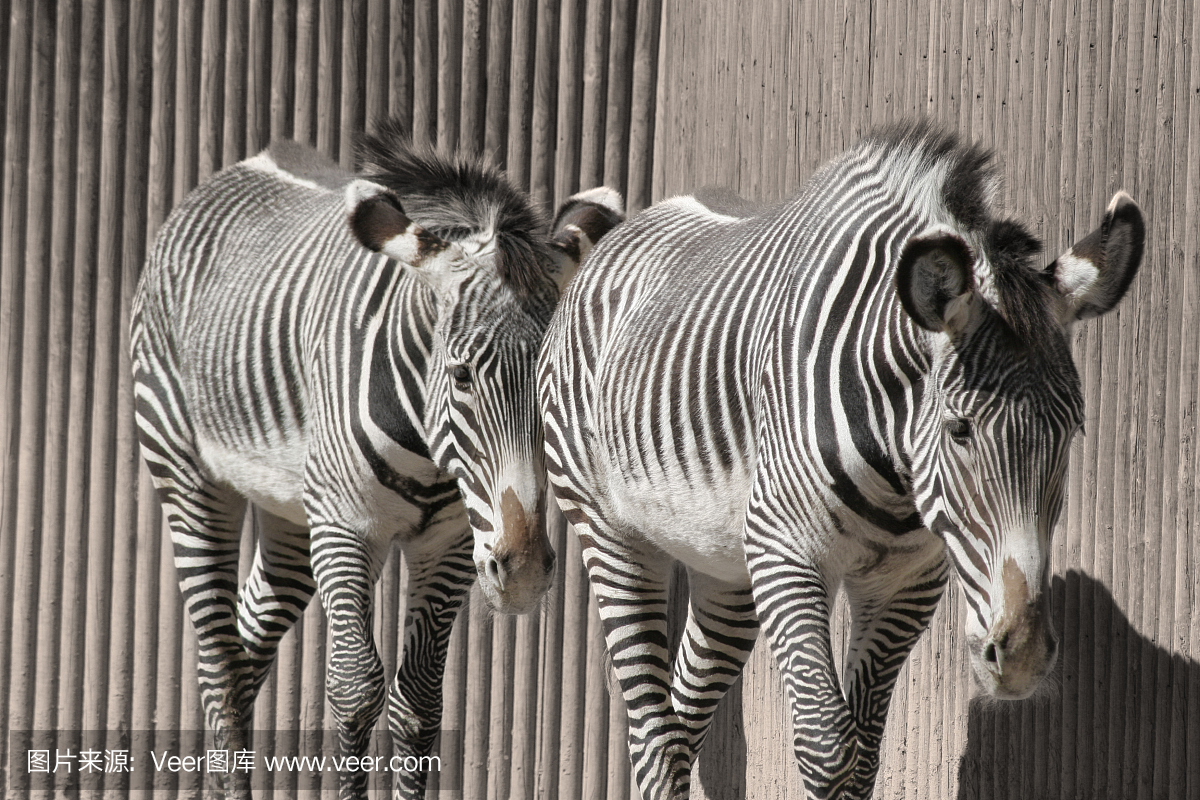 高管最新资讯-快科技--科技改动未来