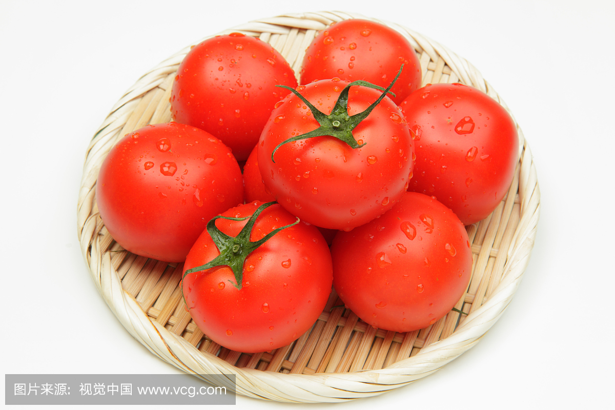 西红柿,蕃茄,番茄,室内