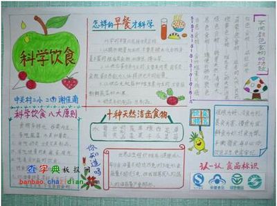 小学生水果手抄报