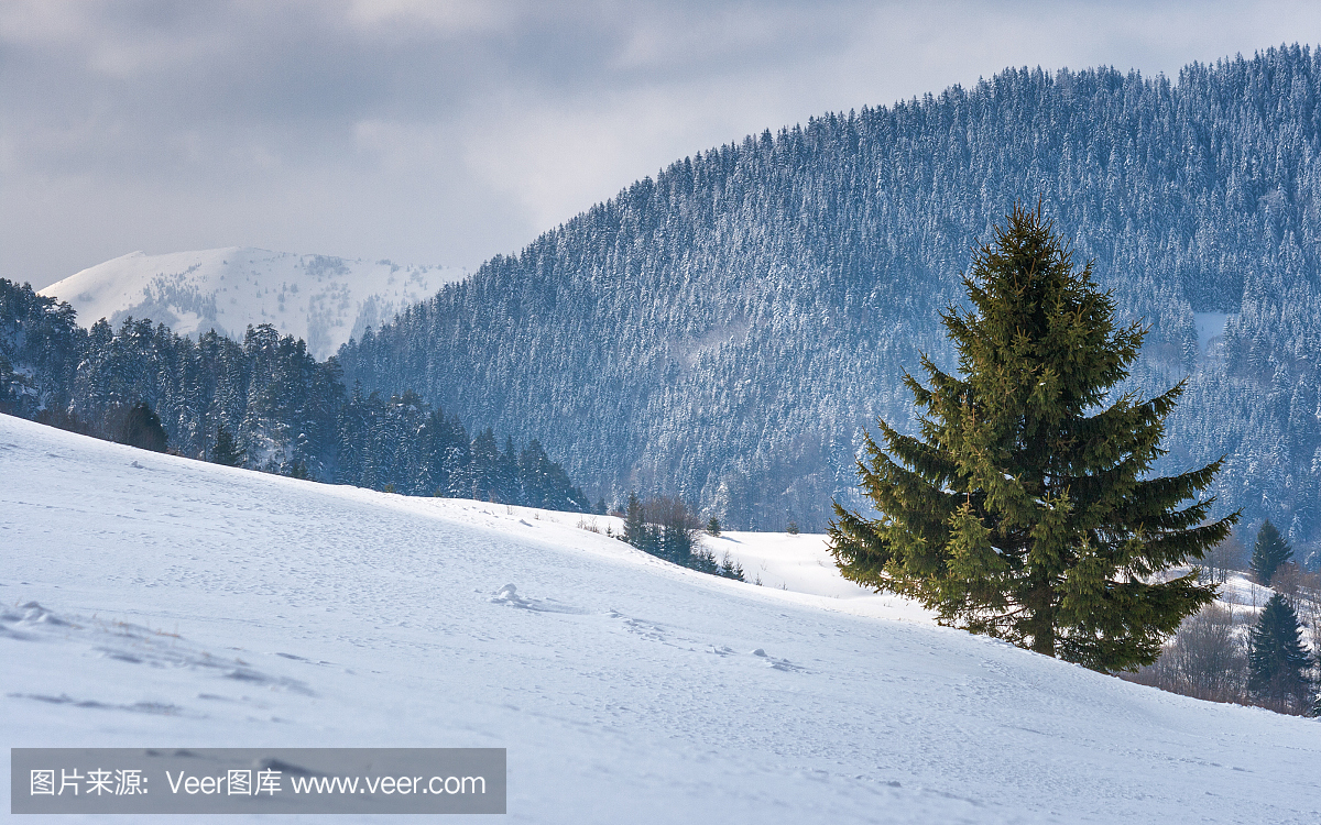 斯诺伊冬季丘陵景观,斯洛伐克。