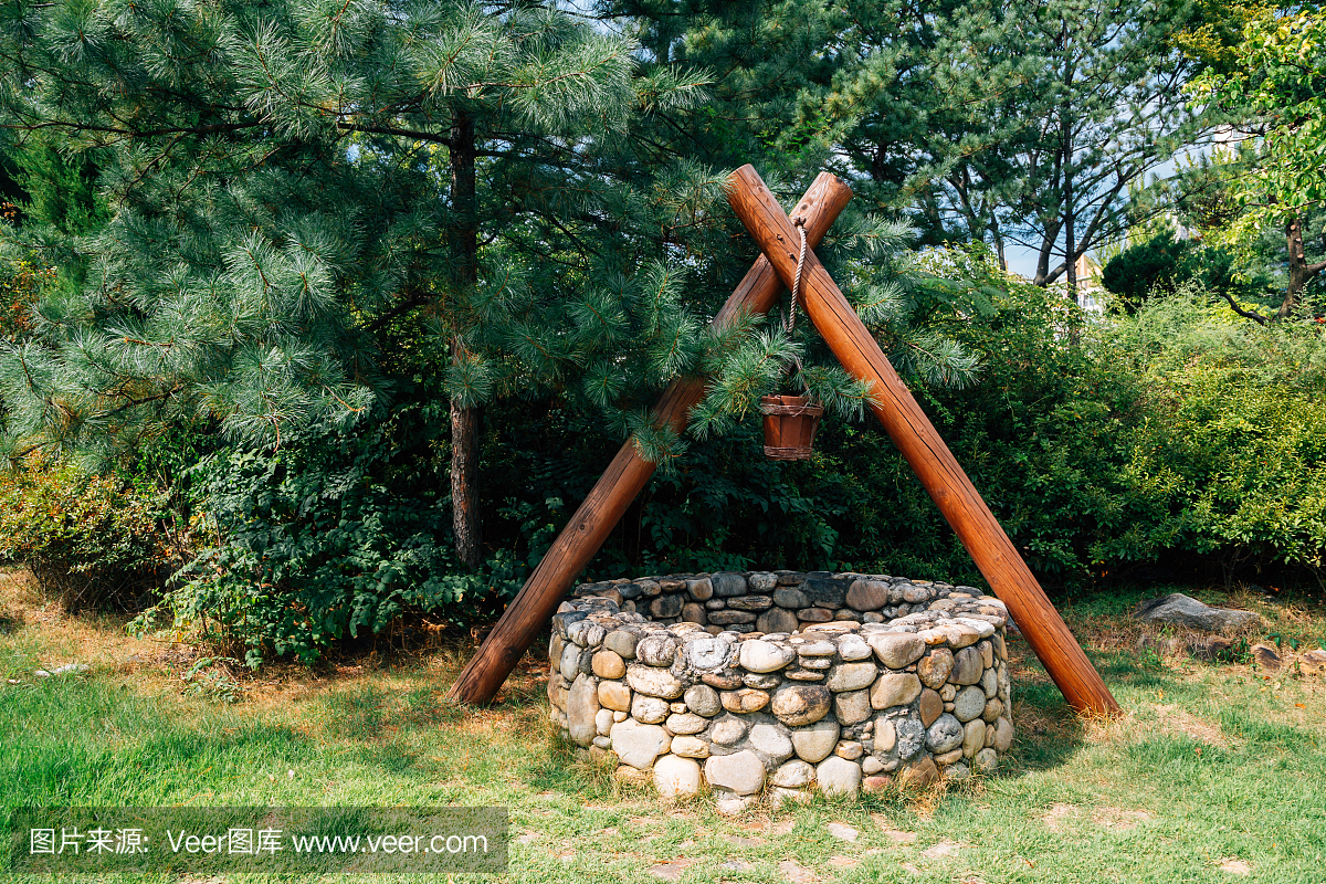 在韩国与绿树森林水井