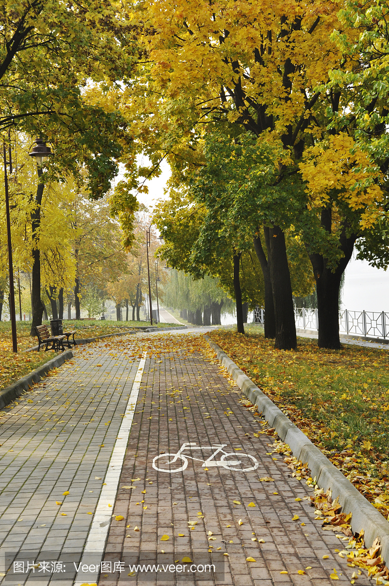 在秋天公园,顿涅茨克,乌克兰的自行车道