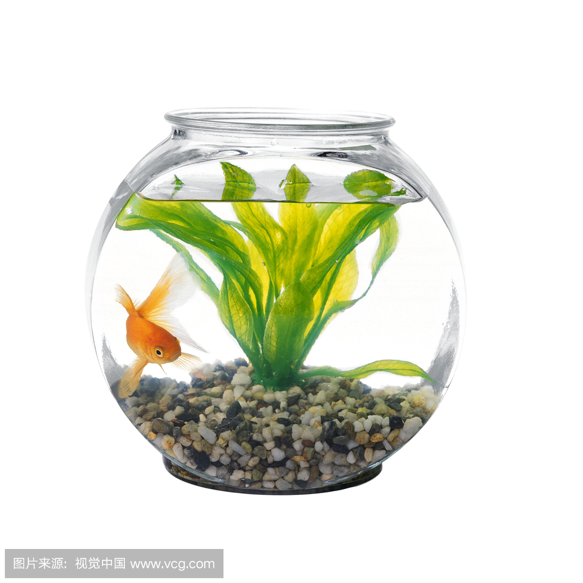 鱼缸,鱼池,水族箱,玻璃钢