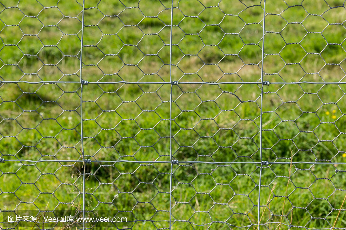 安全,英国,围墙,草