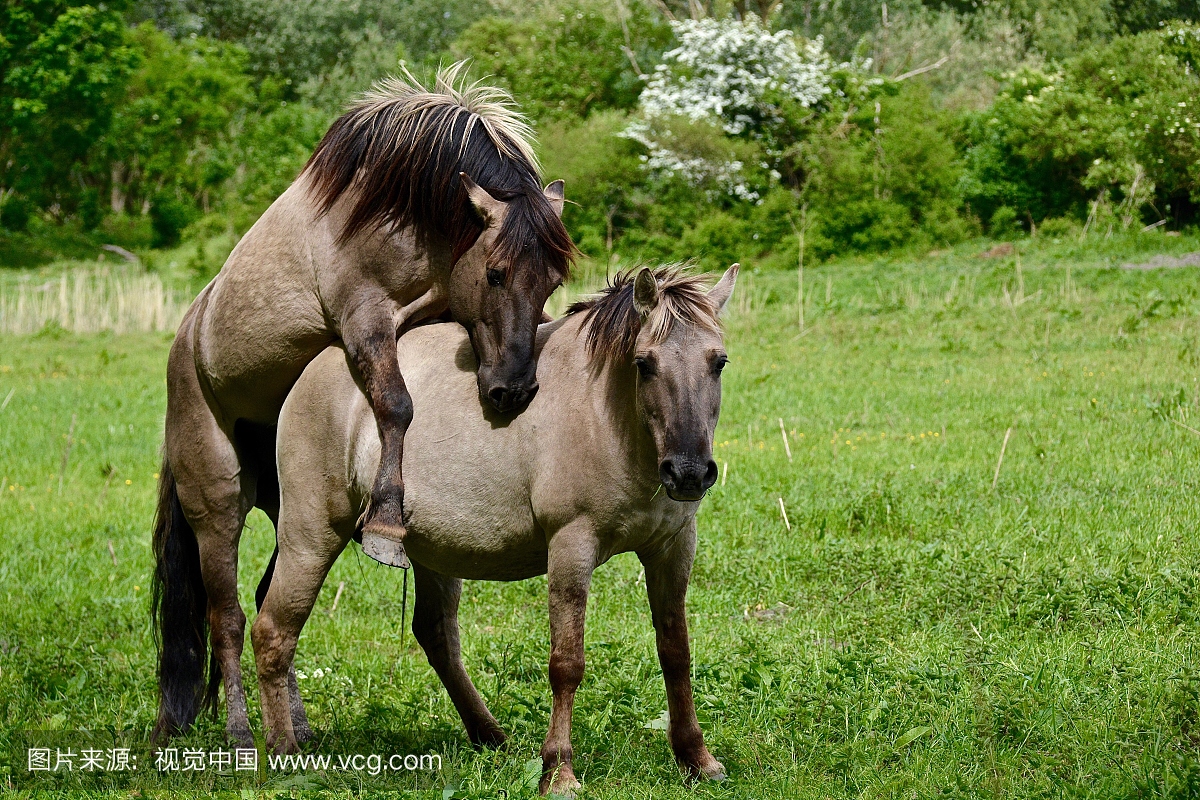 相伴,农业,水平画幅,全身像