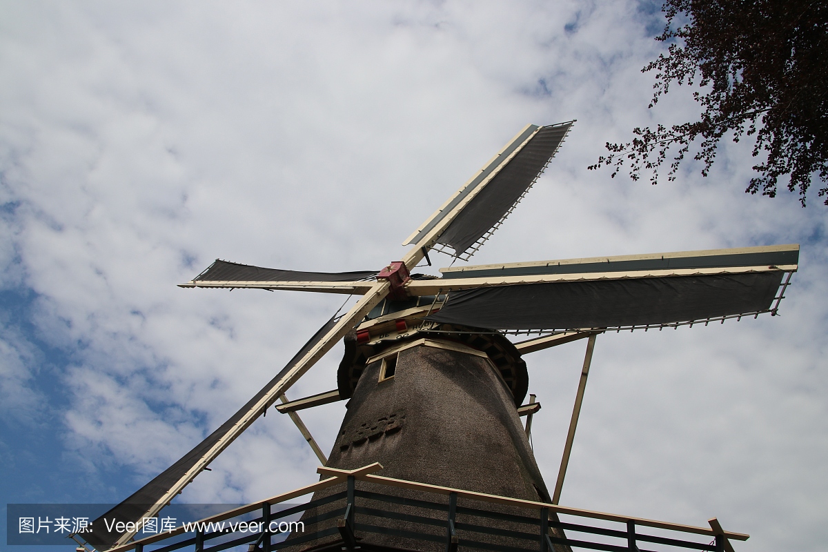 摄影,海尔德兰,工作,荷兰