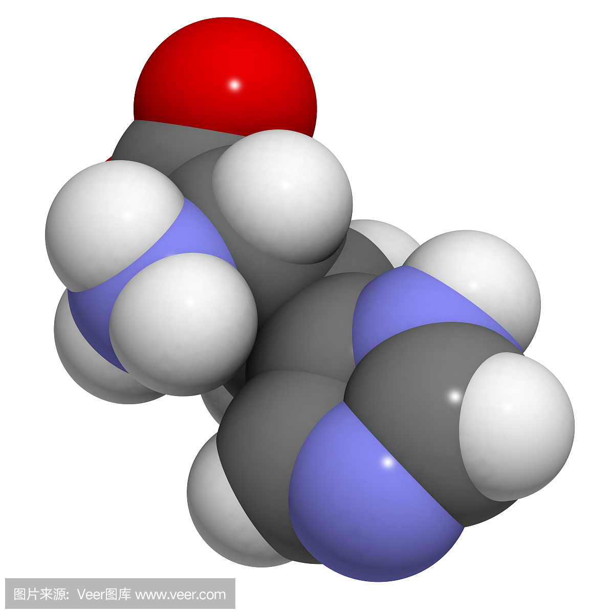 组氨酸(His,H)氨基酸,分子模型。
