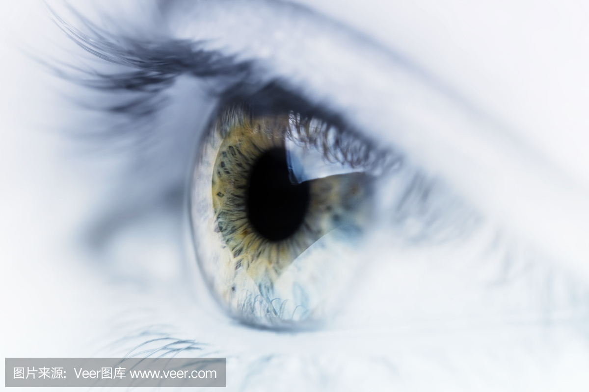 隐形眼镜也玩高科技 可用于防近视查眼压