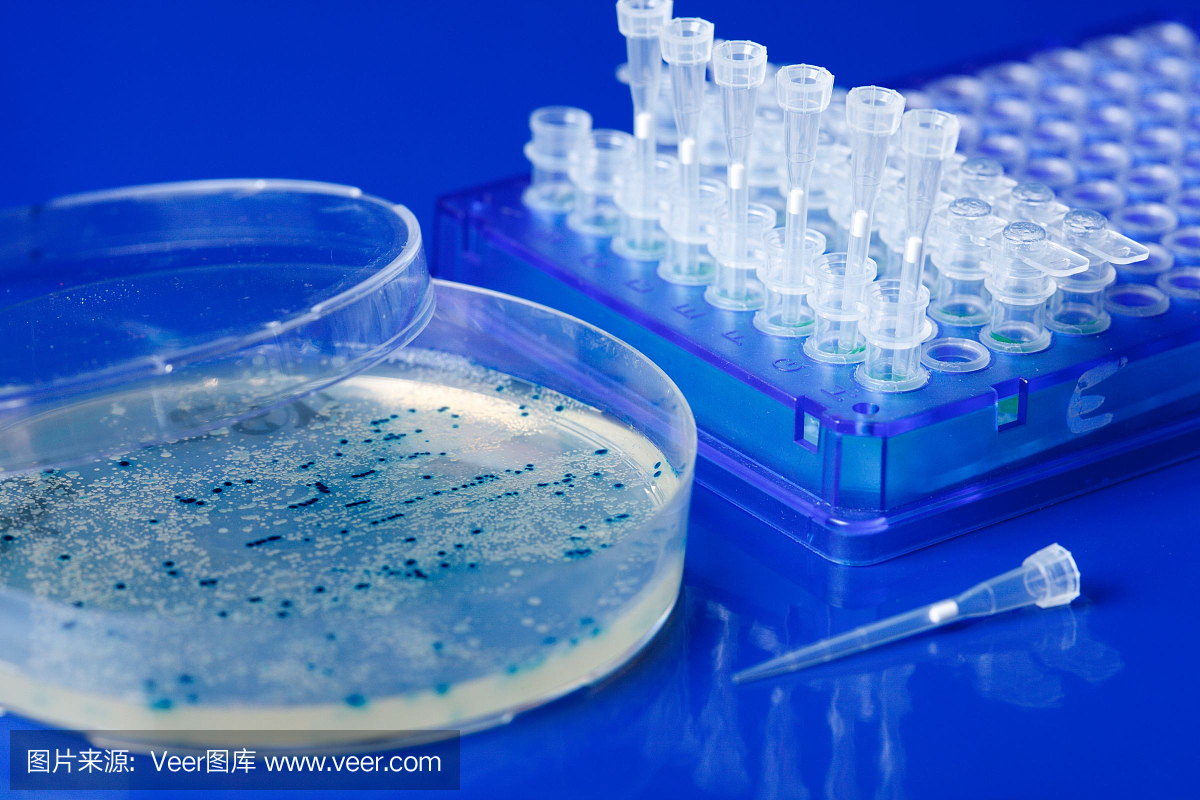 Pcr Device,PCR设备,大肠杆菌,大肠菌