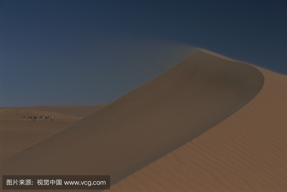 个壮观的沙丘似乎使撒哈拉的大篷车变得矮小。