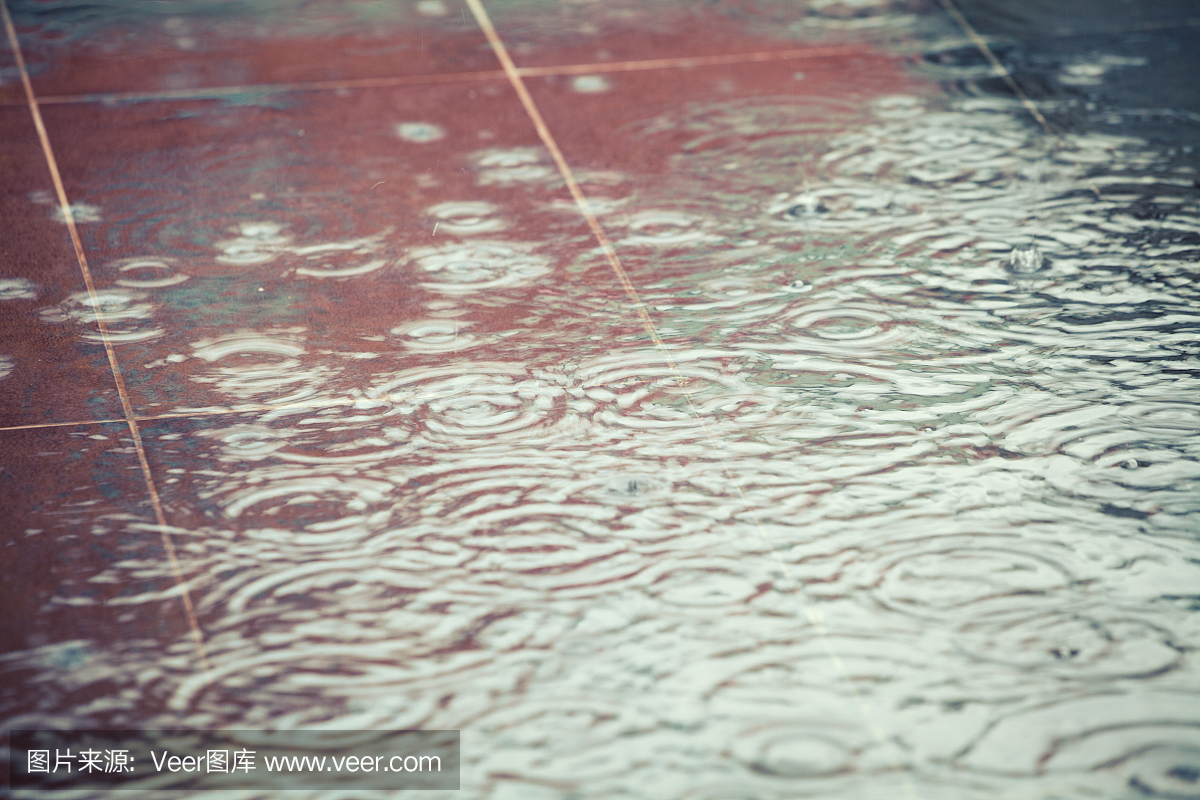 城市中的雨水滴落在水坑里