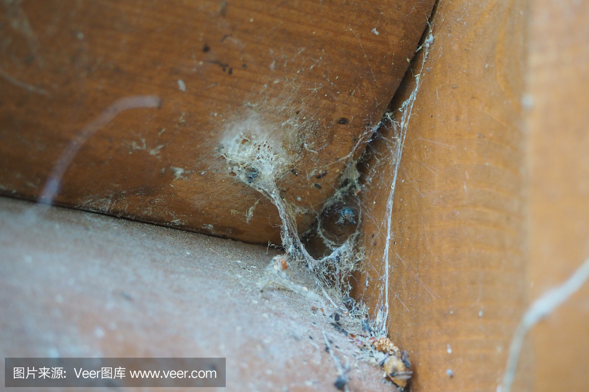 厌恶,讨厌的,恶心,讨厌