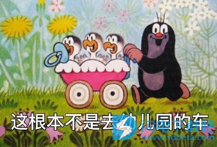 花丸幼儿园表情包_百度宝宝知道