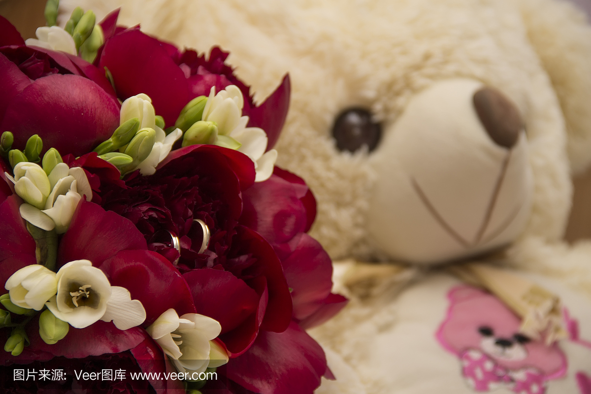 小苍兰,小苍兰属植物,小苍兰属,苍兰