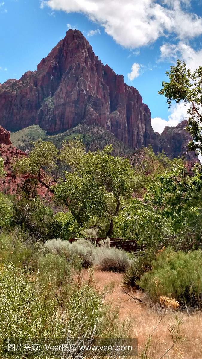 标志性的高峰的看法在锡安国家公园的夏令时在