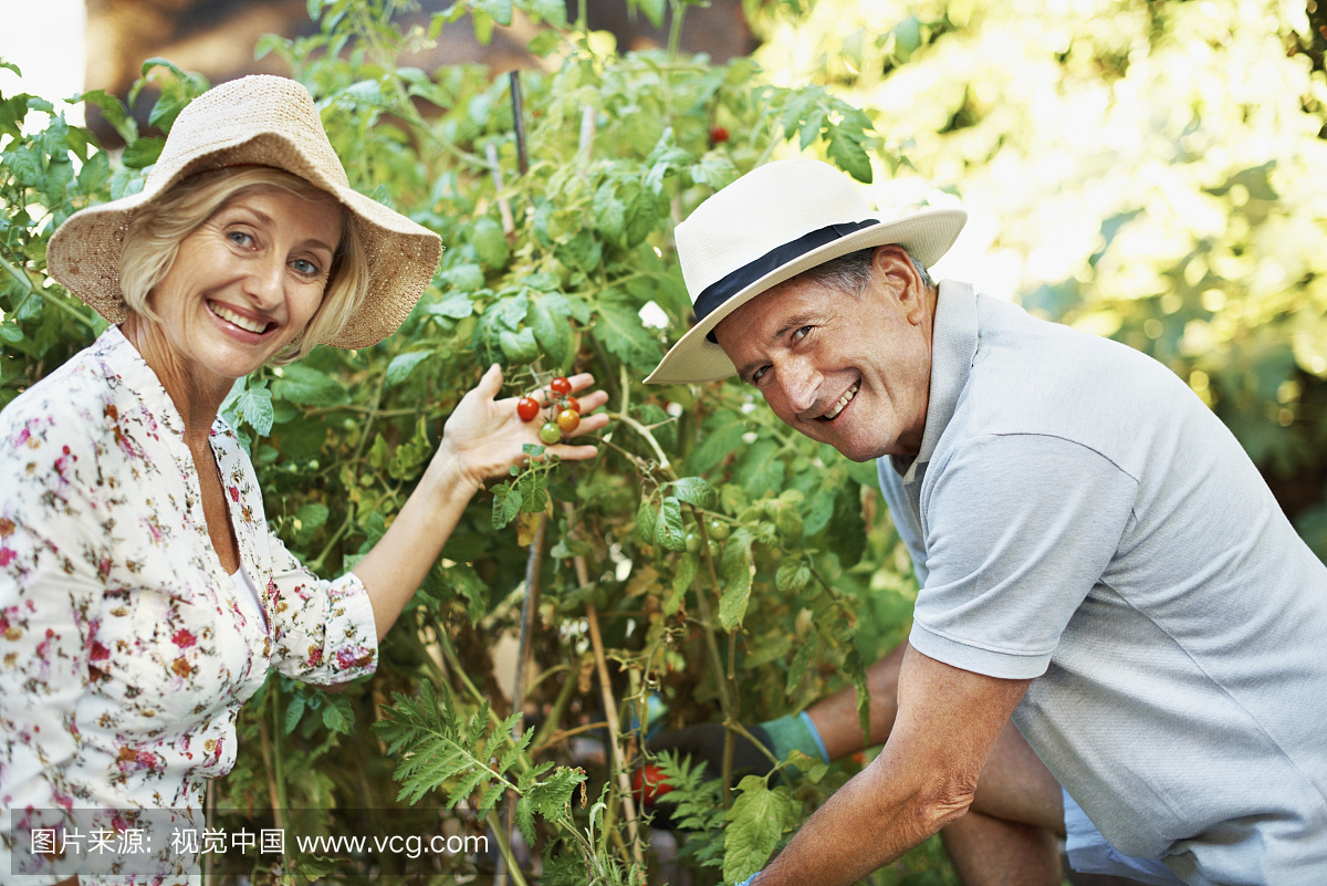 异性恋,人,阔边遮阳帽,衰老过程