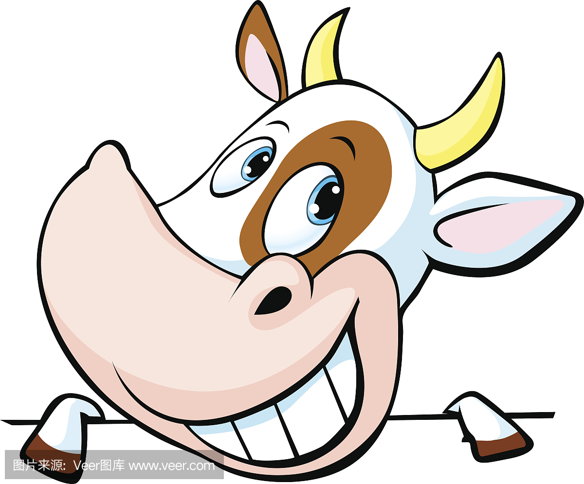 家牛,家养牛,母牛,大型母兽