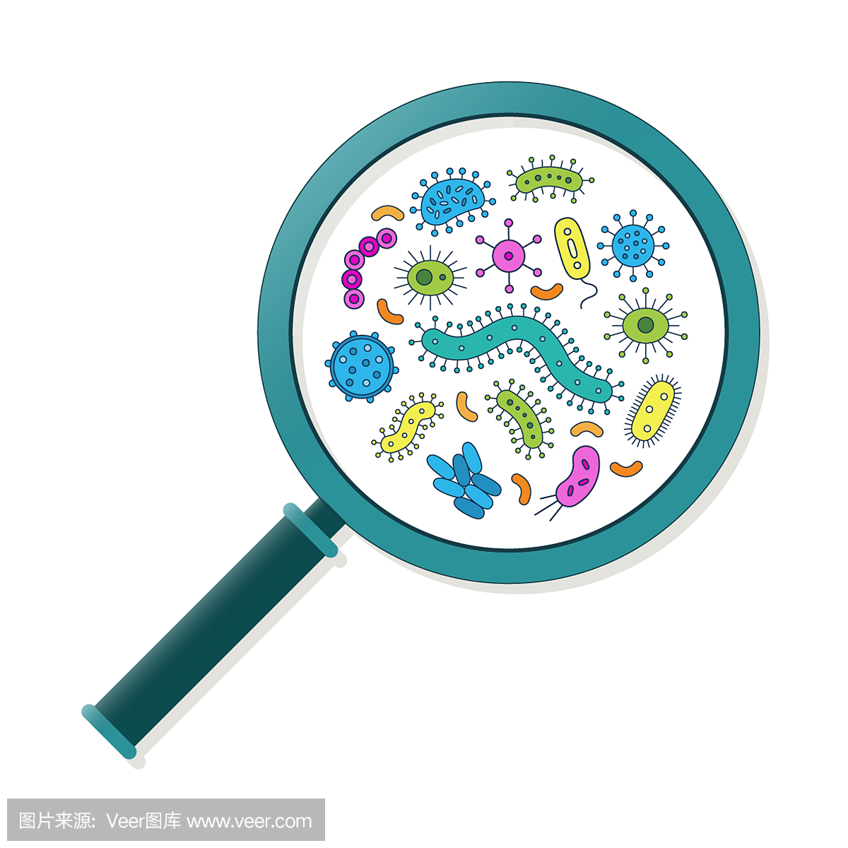 微生物,微生物细胞,菌株,单细胞生物