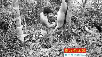 点击查看源网页