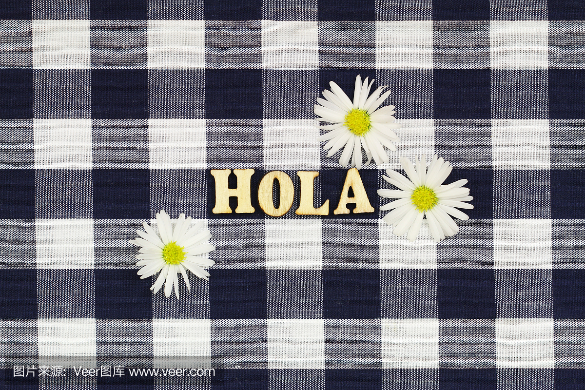 Hola(意思是西班牙语,你好)用海军蓝色和白色格