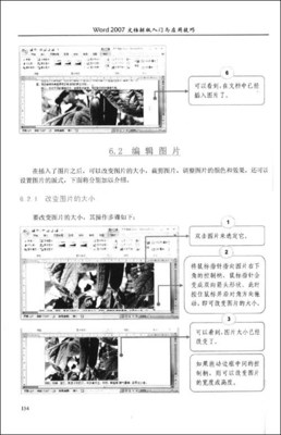 word文档编辑与排版图片