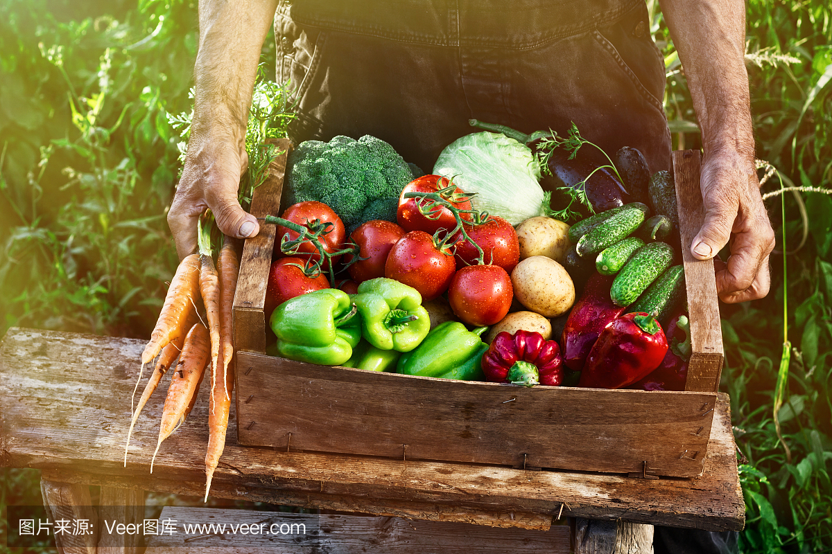 有机食品,有机农产品,无公害食品,无公害